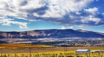 Alliant Roofing Growing in Central Washington