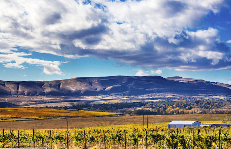 Alliant Roofing Growing in Central Washington