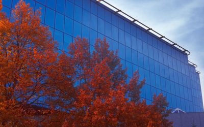 Autumn Commercial Roof Inspection