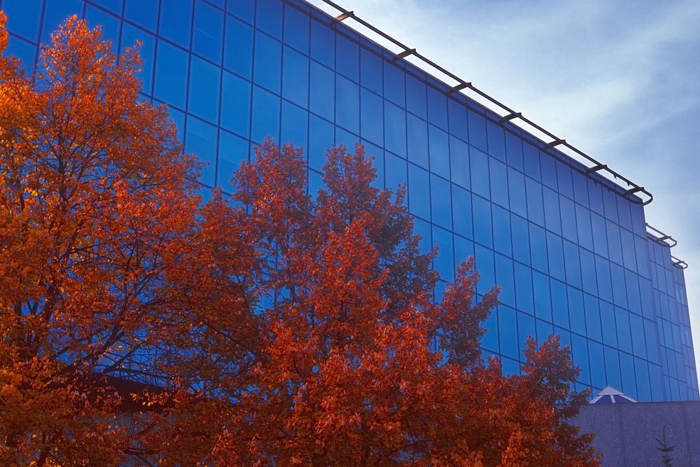 Commercial Building with trees displaying their red, autumn colors