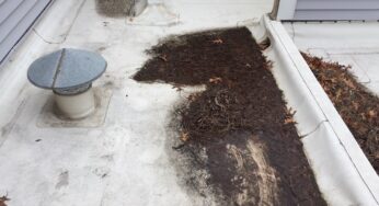 Clogged Roof Drains Service – Inspection and Maintenance
