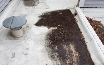 Clogged Roof Drains Service – Inspection and Maintenance