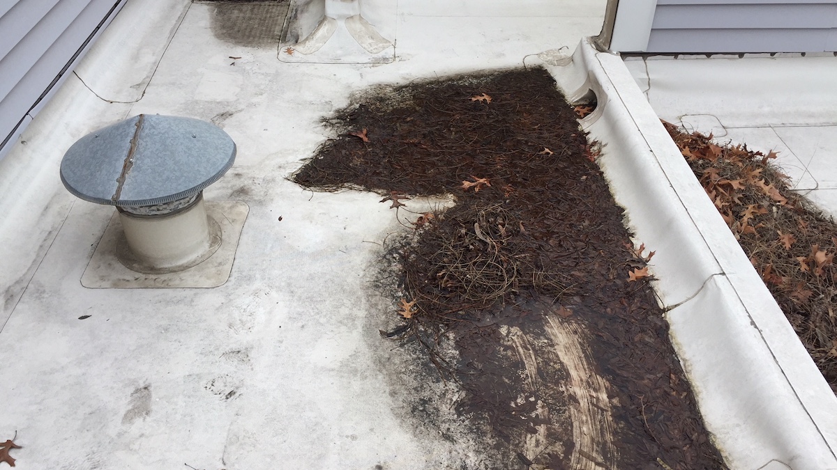 Commercial Flat Roof with Clogged Roof Drain, Leaves, and Muck