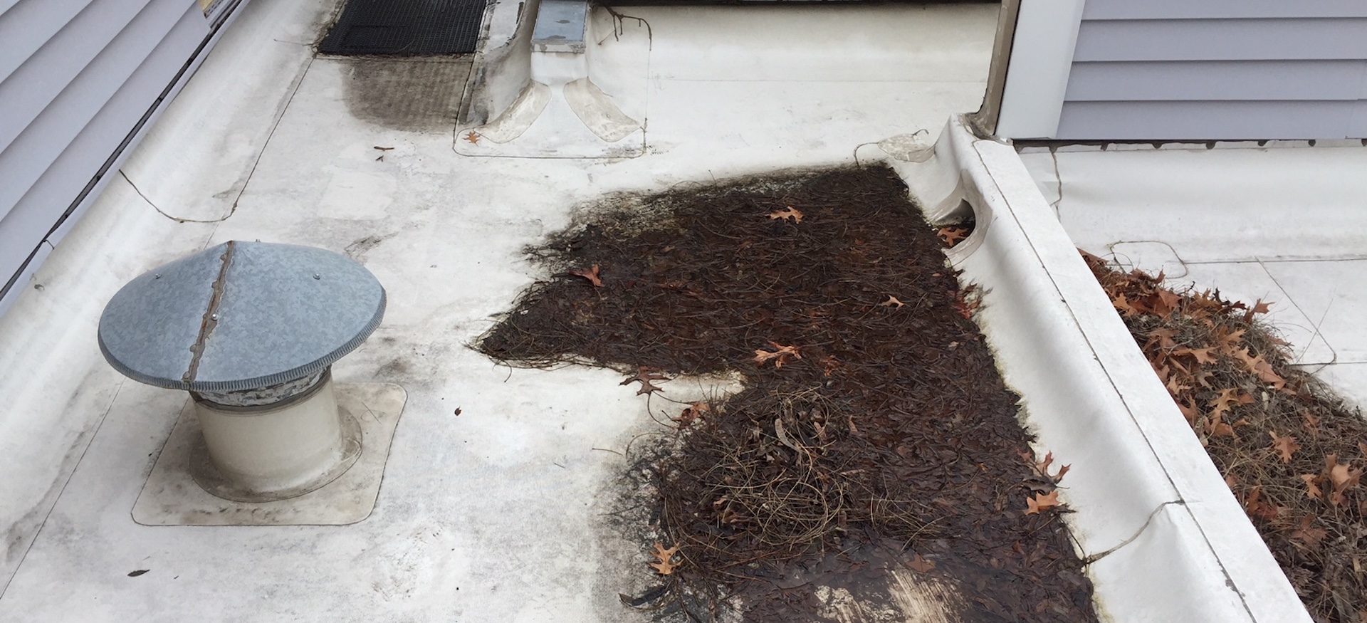 Commercial Flat Roof With Clogged Roof Drain, Leaves, And Muck